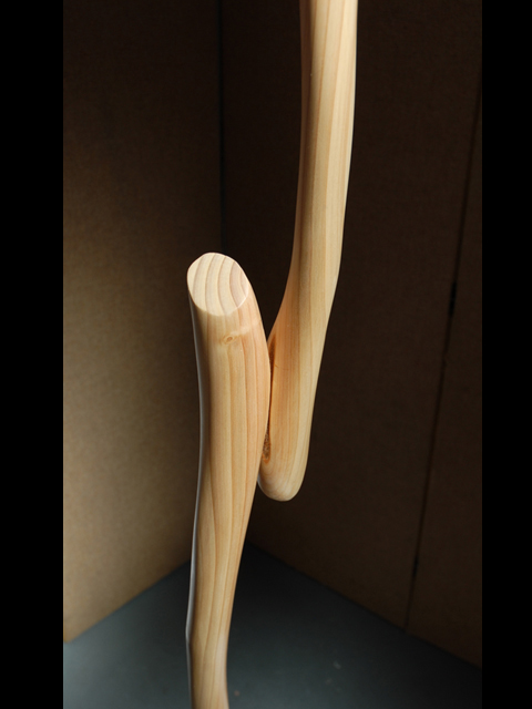 Wooden Sculpture - Passing Forms